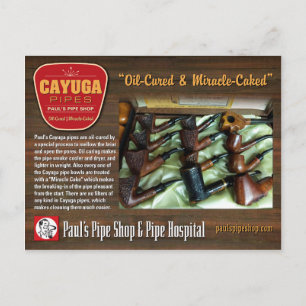 Paul's Cayuga Postcard Postkarte