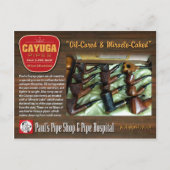 Paul's Cayuga Postcard Postkarte (Vorderseite)