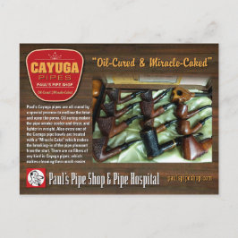 Paul's Cayuga Postcard Postkarte