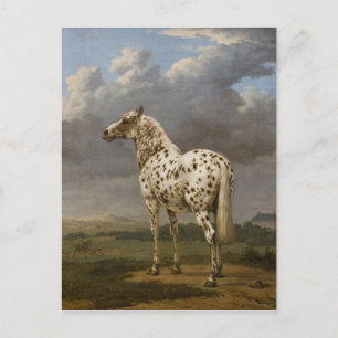 Paulus Potter - Das "Schecken"-Pferd. Vintage-Bild Postkarte
