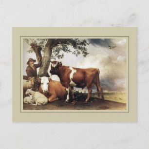 Paulus Potter, 'Junger Bulle' 1647 Postkarte