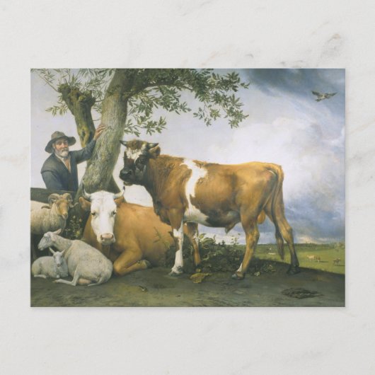 Paulus Potter Postkarte (Vorderseite)