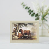 Paulus Potter, 'Young Bull' 1647 Postkarte (Stehend Vorderseite)