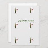 Pauschalnote Save The Date (Vorne/Hinten)