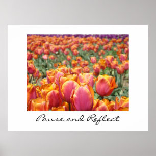Pause and Reflect Kunstdrucke Farbige Tulpenblume Poster