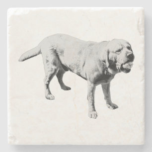 Pause Steinuntersetzer