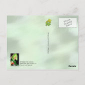Pause während Mardi Gras einlegen Postkarte (Rückseite)