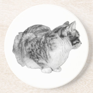 Pausen Whiskers Getränkeuntersetzer