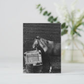 Pausenzeit Postkarte (Stehend Vorderseite)