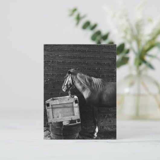 Pausenzeit Postkarte (Stehend Vorderseite)