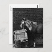 Pausenzeit Postkarte (Vorne/Hinten)