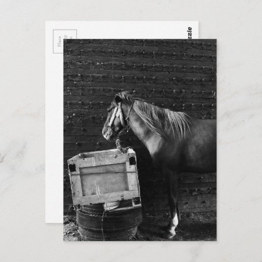 Pausenzeit Postkarte (Vorne/Hinten)