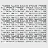 PAUSIERT GESCHENKPAPIER (Flach)