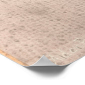 Pavement Primrose Poster (Ecke)