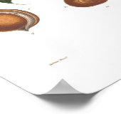 Pavia, Roter Buckeye Poster (Ecke)