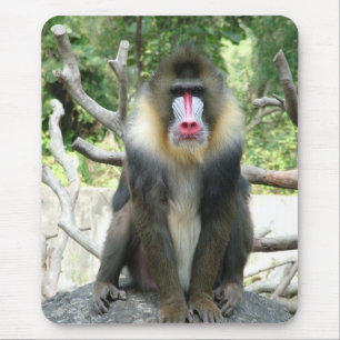Pavian,狒狒 Mousepad