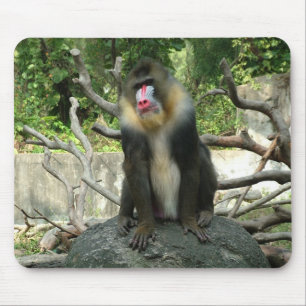 Pavian,狒狒 Mousepad