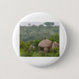 Pavian auf einem Felsen Button