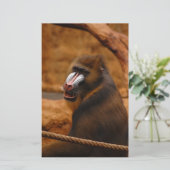Pavian/Baboon Briefpapier (Stehend Vorderseite)