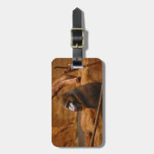 Pavian/Baboon Gepäckanhänger (Vorderseite vertikal)