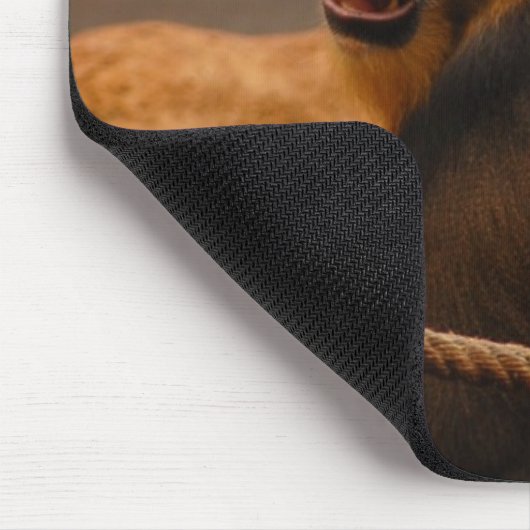 Pavian/Baboon Mousepad (Ecke)