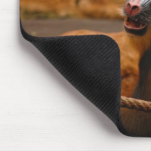 Pavian/Baboon Mousepad (Ecke)
