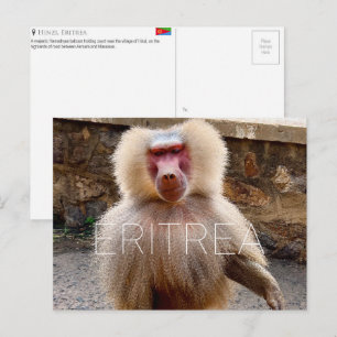 Pavian in Hinzi, Eritrea Reise-Postkarte Postkarte