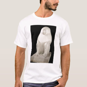 Pavian, mittleres Königreich, vielleicht 7. T-Shirt