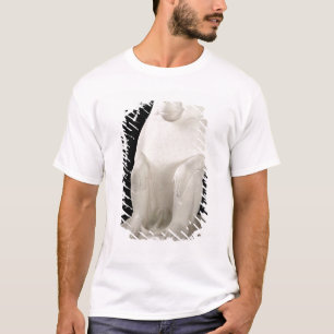 Pavian, mittleres Königreich, vielleicht 7. T-Shirt