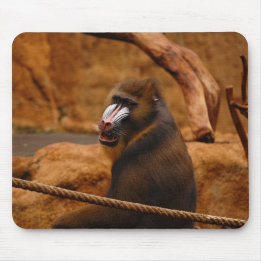 Pavian Mousepad (Vorne)