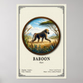 Pavian-Zoologie-Serie Poster (Vorne)