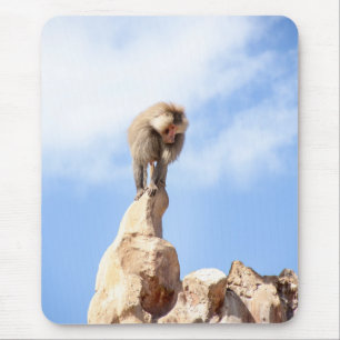 Pavianaffe auf einem Berggipfel Mousepad