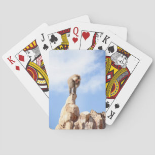 Pavianaffe auf einem Berggipfel Spielkarten