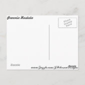 Pavonia Hastata # 3 Postkarte (Rückseite)