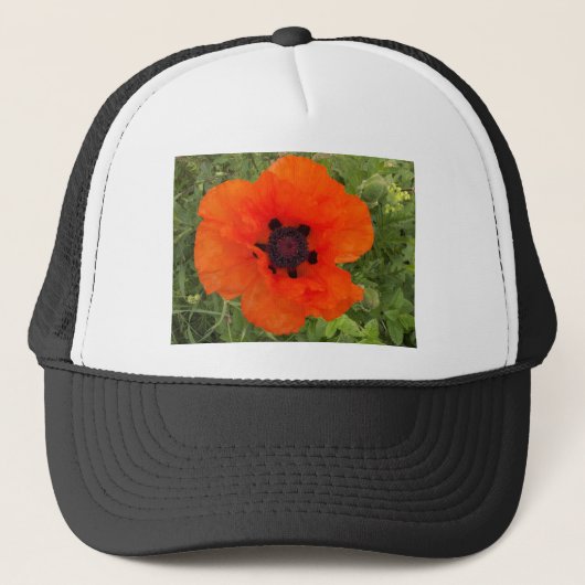 Pavot Truckerkappe (Vorderseite)