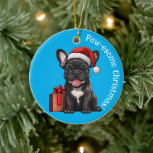 😍 Paw esome Sweet Frenchie Welpe