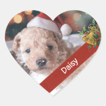 Paw-fect Christmas Puppy Jingle Bell Holly Sticker