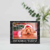 Paw Humbug Foto Schwarze Weihnachtsmannmütze Feiertagspostkarte (Stehend Vorderseite)