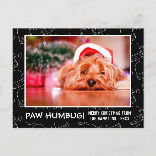 Paw Humbug Foto Schwarze Weihnachtsmannmütze Feiertagspostkarte (Vorderseite)