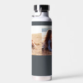 Paw Jow EDITABLE FARBFLASCHE Trinkflasche (Rechts)