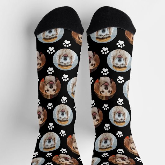 Paw Print Black Socken (Oben)