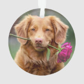 Paw Print Christmas Hund Name Pet Foto Ornament (Rückseite)