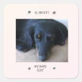 Paw Print Frame with Pet Name and Nickname Quadratischer Aufkleber (Vorderseite)