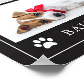 Paw Print | Hund oder Welpe mit mehreren Fotos Poster (Ecke)
