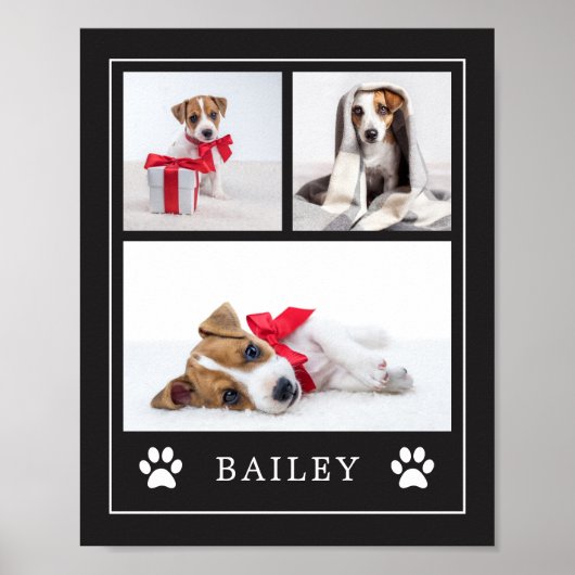 Paw Print | Hund oder Welpe mit mehreren Fotos Poster (Vorne)