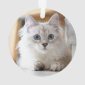 Paw Print Pet Weihnachtskatze Name Foto Ornament (Rückseite)