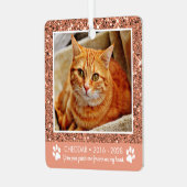 Paw Prints Cat Memorial Foto Metal Ornament (Vorderseite links)