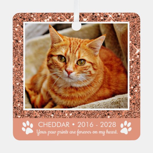 Paw Prints Cat Memorial Foto Metal Ornament (Vorderseite)