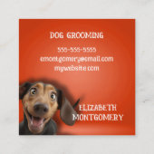 Paw Prints Dog Groomer Quadratische Visitenkarte (Rückseite)