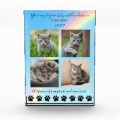 Paw Prints & Erinnerungen-Rainbow Cat Memorial- Fotoblock (Vorderseite)